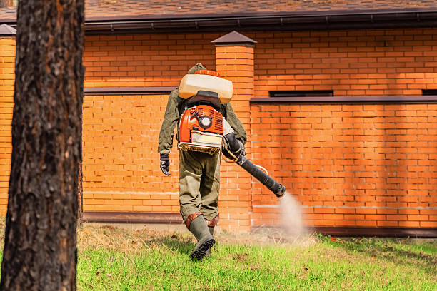 Trusted Mosquito Control service in Chino Valley, AZ - Nex Pest Control